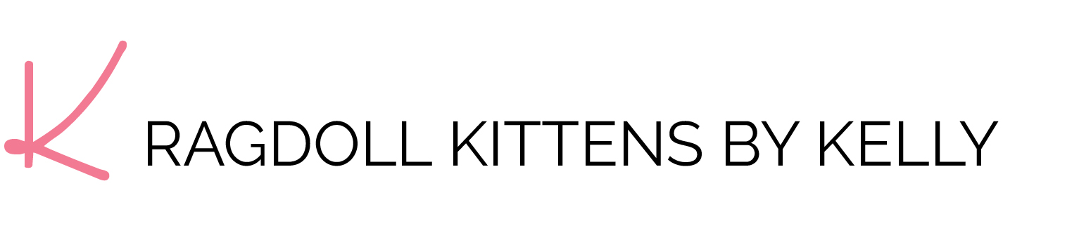 Ragdoll Kittens by Kelly | Ragdoll Cat Breeder in Southern California