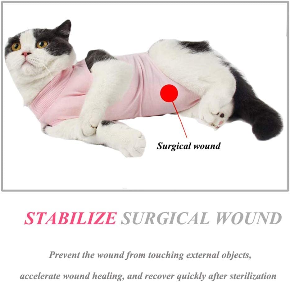 Cat Recovery Suit for Surgery