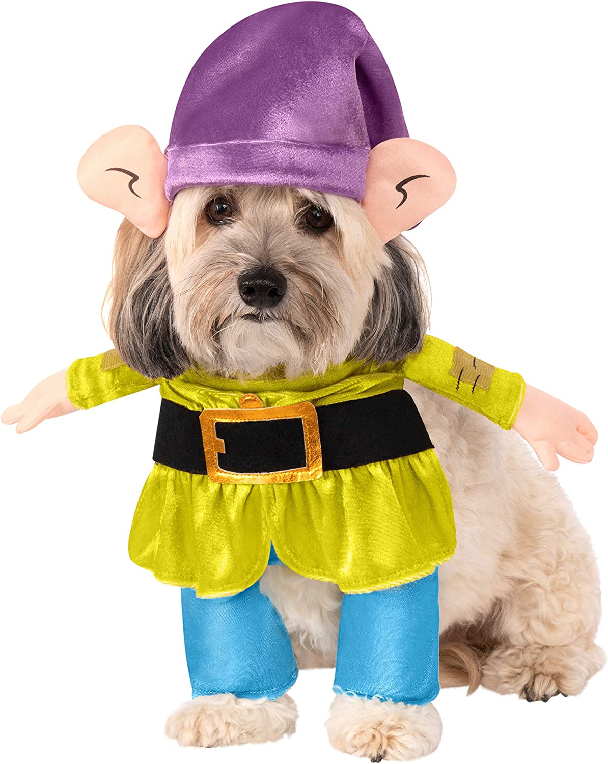 Dopey Pet Costume