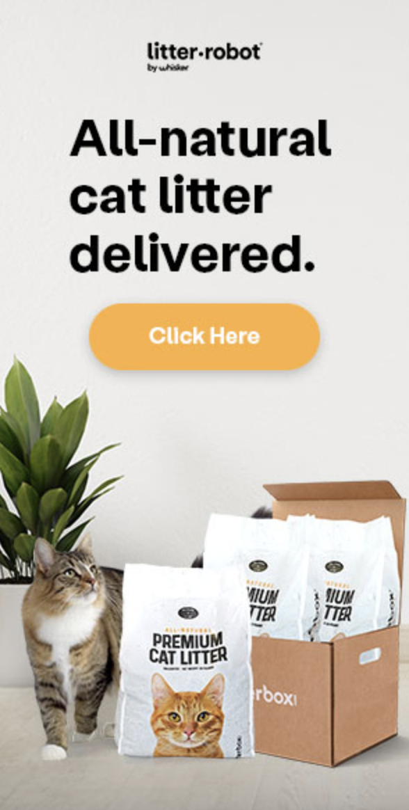 All natural cat litter delivered