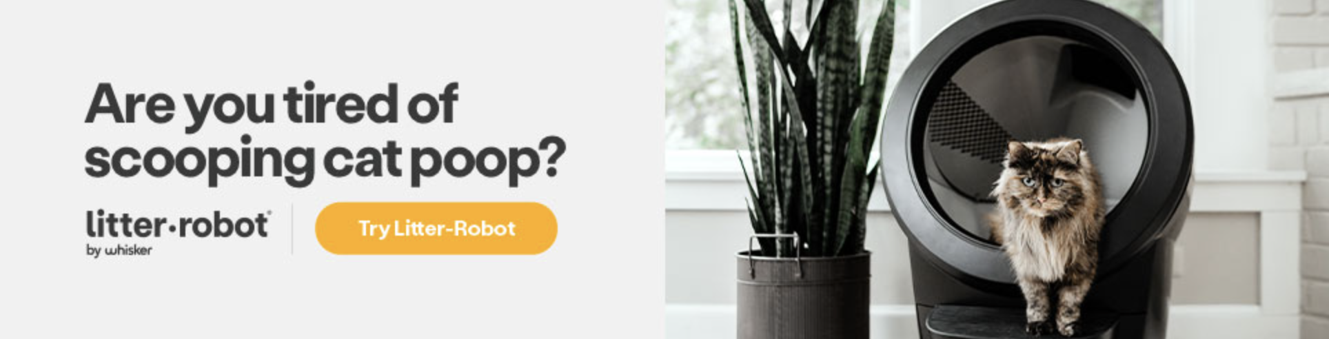 Litter Robot Deals